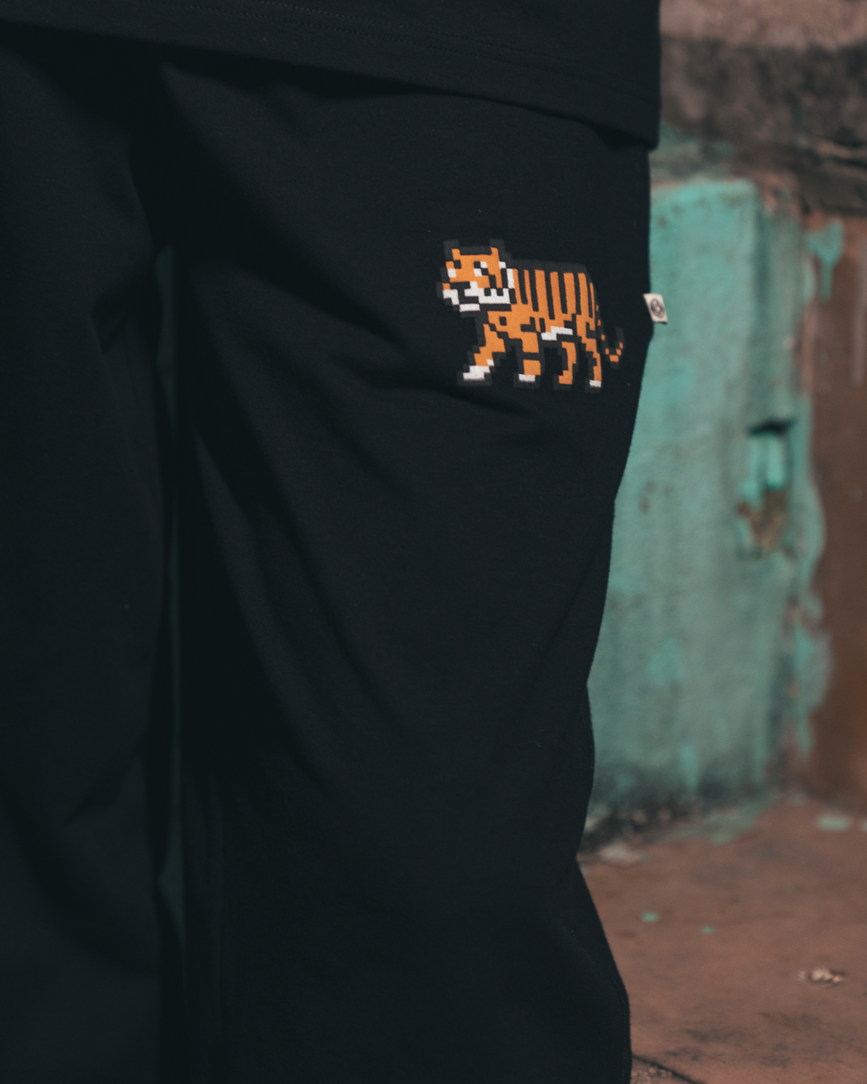 Shehri sherni Jogger